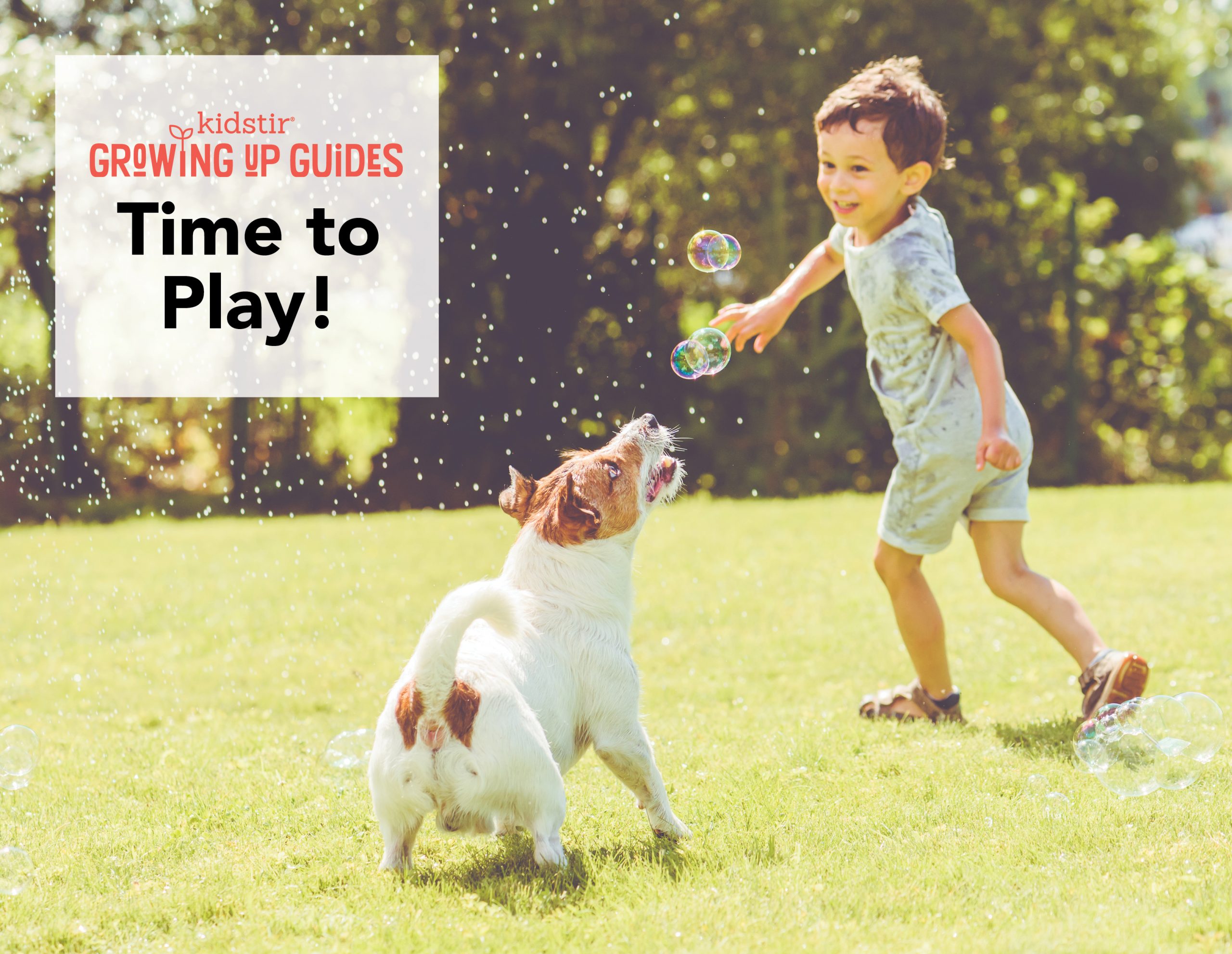 dogs playing with kids